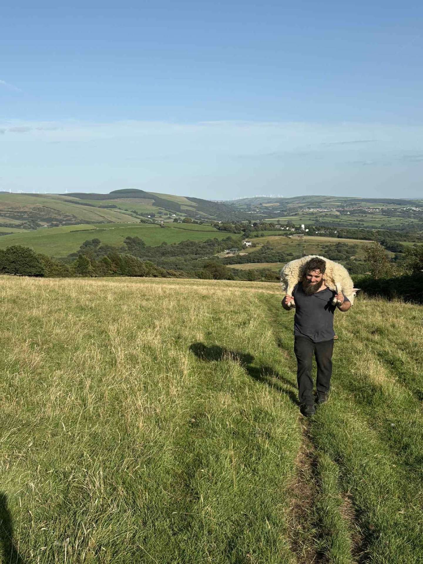 Farmer Dafydd walking with his border collie through the pasture